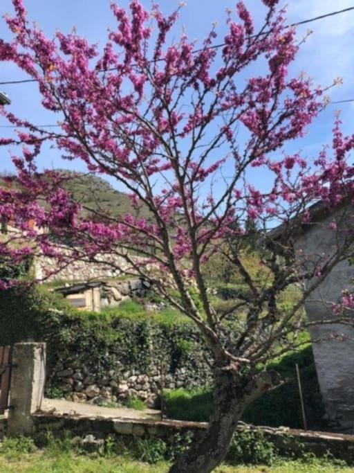 Holiday home De La Fount Del Roy